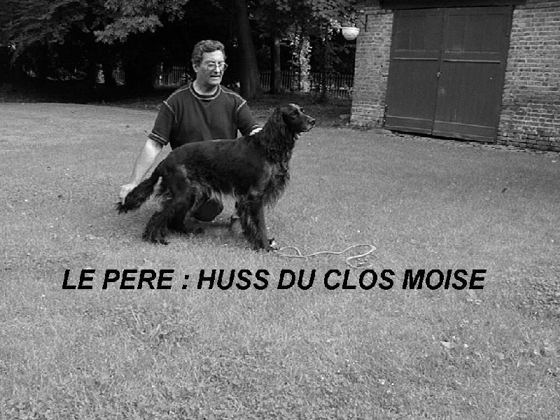 CH. Huss Du clos moise